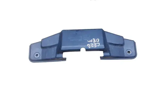 Engine bonnet/hood lock trim molding