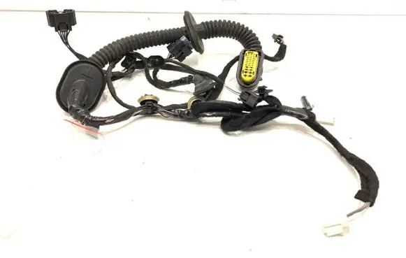 Renault Megane IV Rear door wiring loom 242109444R
