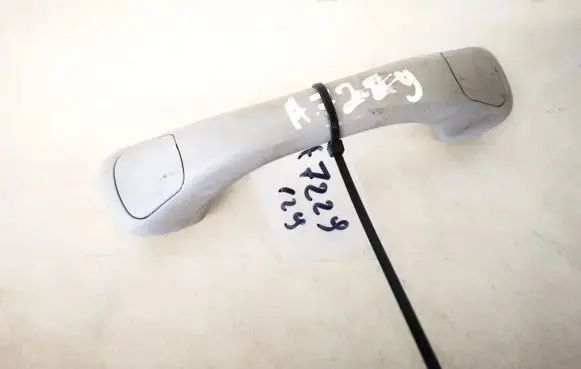 Front interior roof grab handle