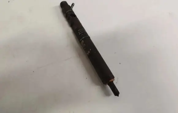 KIA Carnival Fuel injector ejbr03902d 0069dz12w07