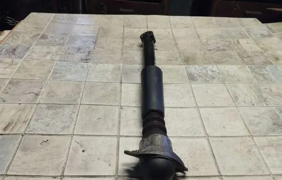 Volkswagen Fox Rear shock absorber/damper 1J0513425