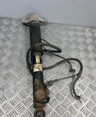 Opel Insignia A Rear shock absorber/damper 13319761