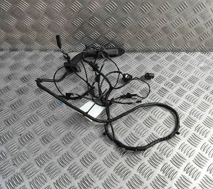 Rear door wiring loom