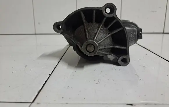 Peugeot 406 Starter motor D7R12