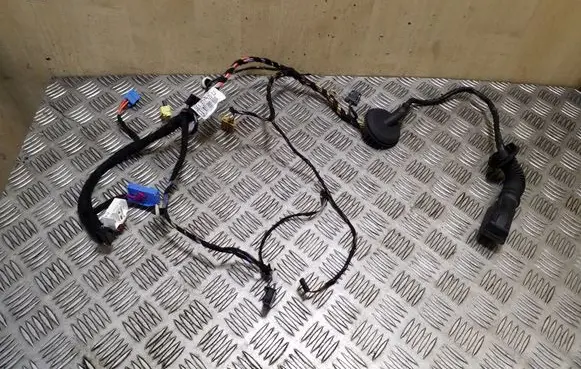Front door wiring loom