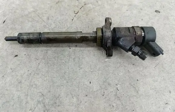 Ford Focus Fuel injector 0445110259