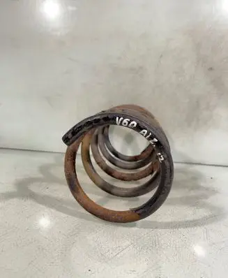 Rear coil spring