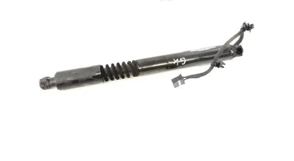 Tesla Model X Rear door lower hinge 106344100C