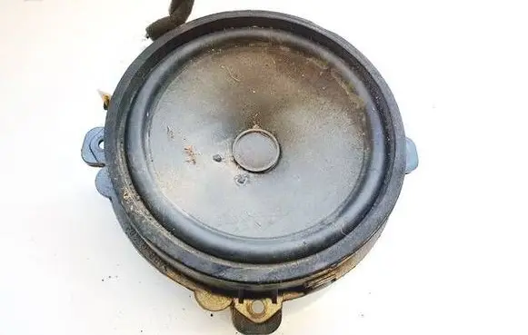 Opel Antara Front door speaker 96673592