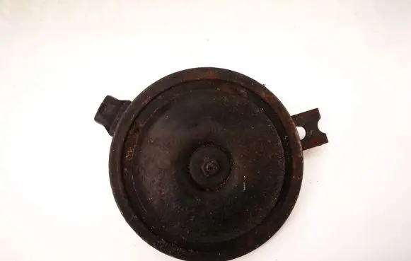 KIA Carnival Horn signal