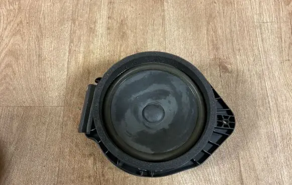 Opel Insignia A Front door speaker 13257499 43410786373