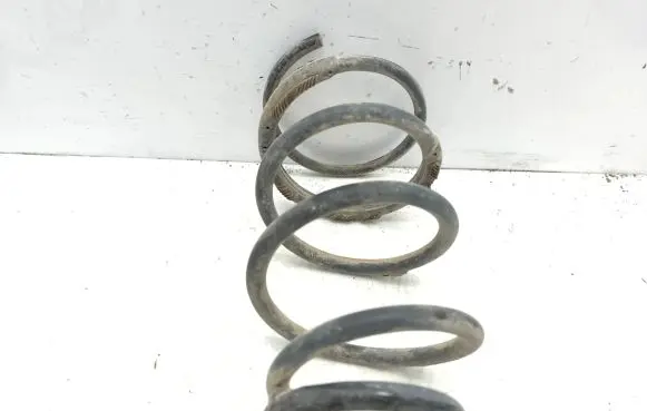 Renault Avantime Rear coil spring