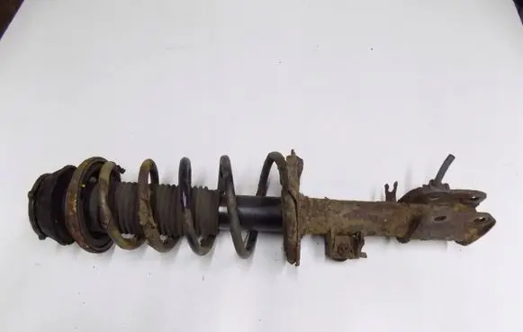 Suzuki SX4 S-Cross Rear shock absorber with coil spring fregthjaponia2az