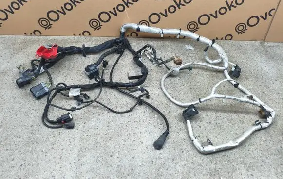 Ford Explorer VI Engine installation wiring loom M1MT14B060