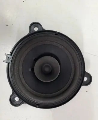 Renault Zoe Rear door speaker