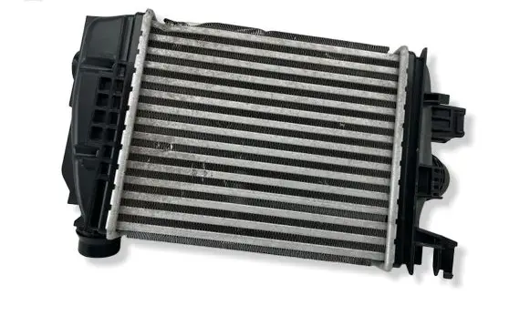 Nissan Juke II F16 Intercooler radiator 14461F270A