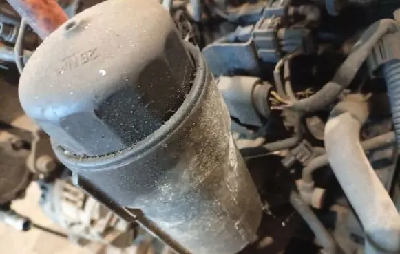 Volkswagen Golf IV Oil filter cover