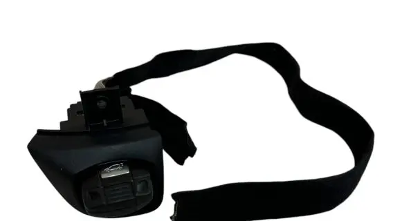 BMW X1 E84 Ignition lock 919439902 10862510