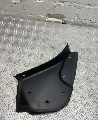 Rear/tail light trim molding