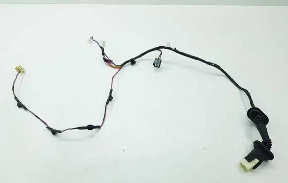 Rear door wiring loom