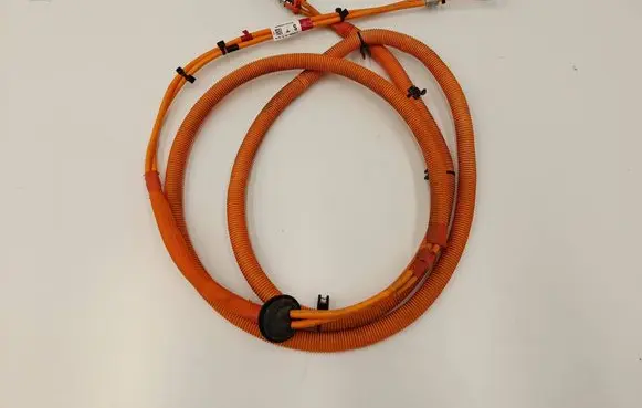 Other wiring loom