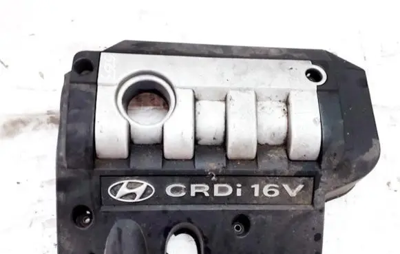 Hyundai Trajet Engine cover (trim) 2924027101