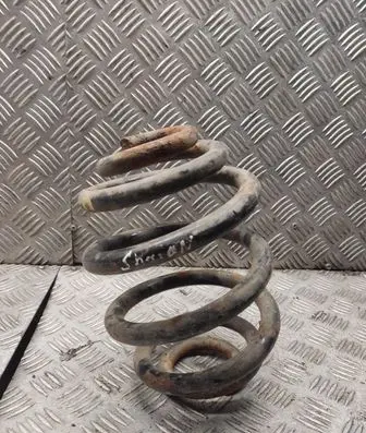 Rear coil spring