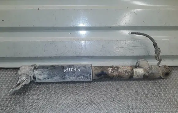 Opel Insignia A Rear shock absorber/damper 13319749