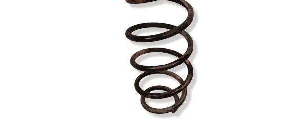Opel Signum Front coil spring 