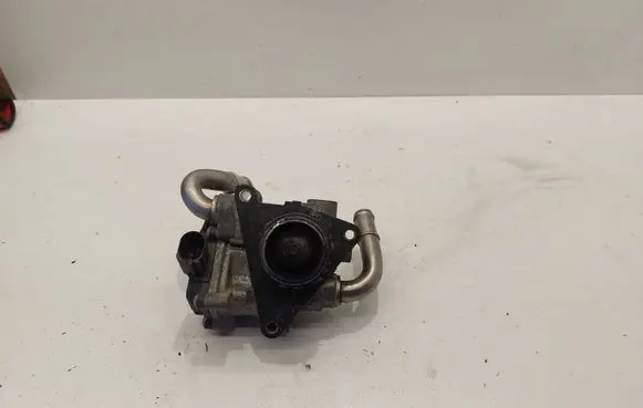 Volkswagen PASSAT B8 EGR valve 04L131501RV