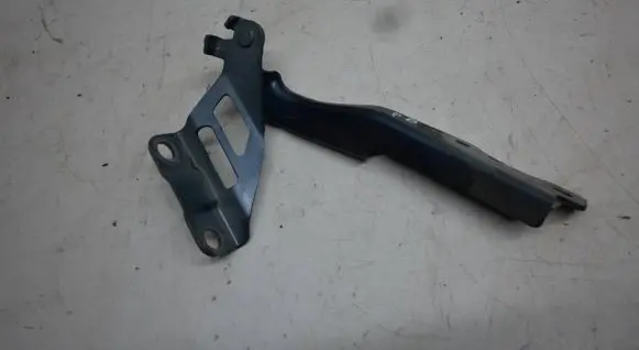 Engine bonnet/hood hinges