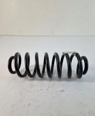 Rear coil spring