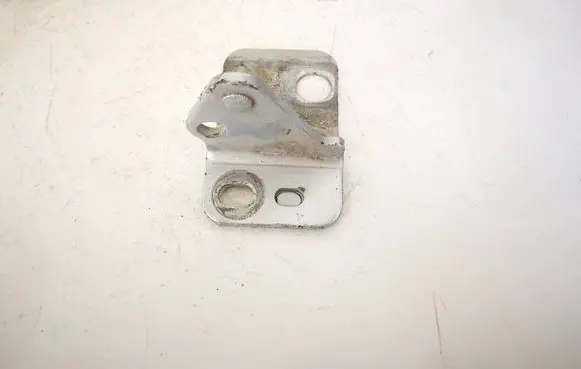 Seat Leon (1P) Rear door lower hinge 