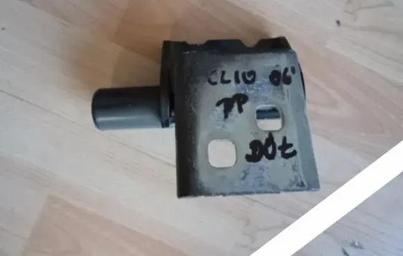 Renault Clio III Front door hinge set 223471