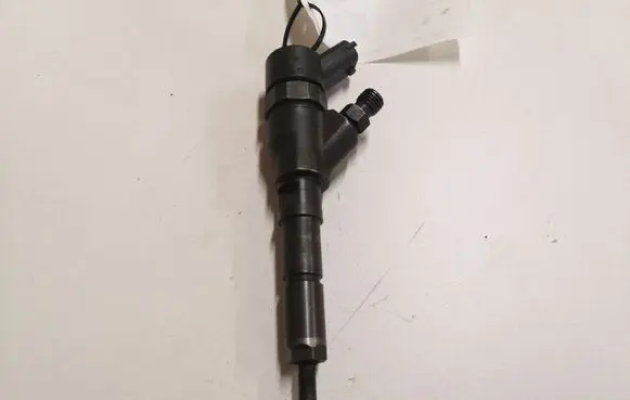Peugeot 406 Fuel injector 0445110062 9640088780
