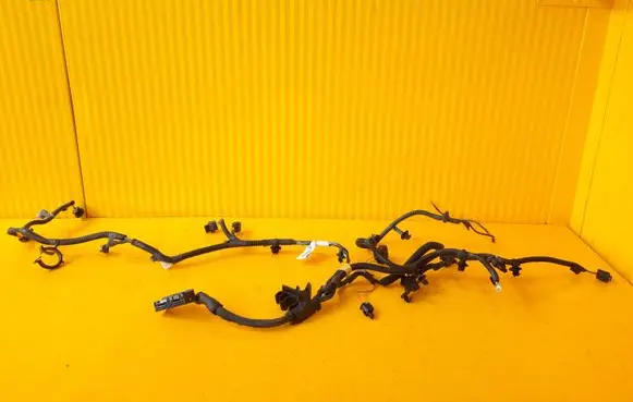 Tesla Model 3 Other wiring loom 106876700F