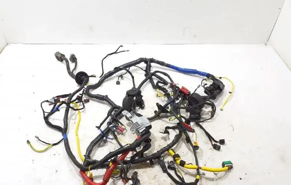 KIA EV6 Other wiring loom 91541CV460A