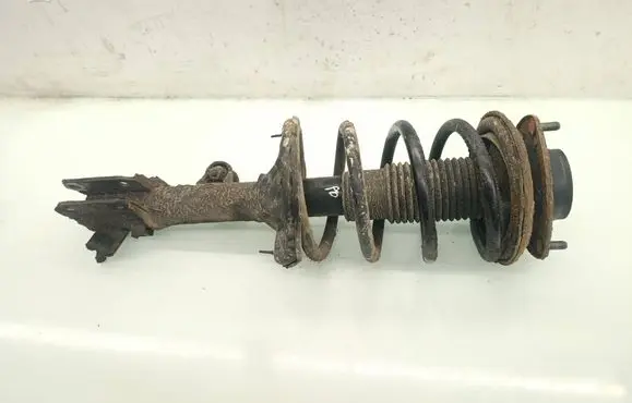 Hyundai Tucson JM Front shock absorber with coil spring 