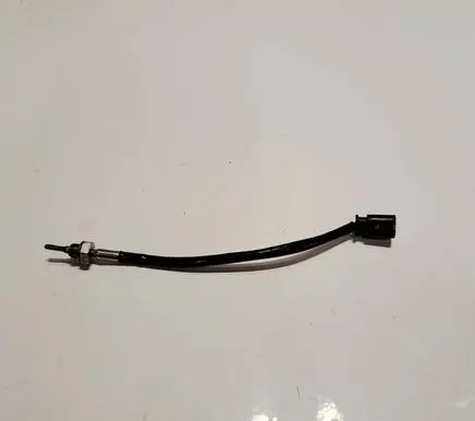BMW X1 F48 F49 Exhaust gas temperature sensor 