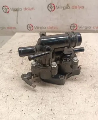 Thermostat/thermostat housing