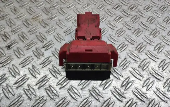 Nissan Juke I F15 Positive cable (battery) 