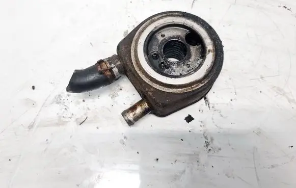 Renault Scenic I Engine oil radiator 