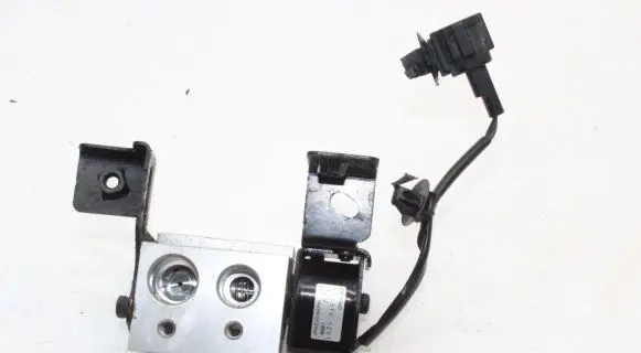 Nissan Leaf I (ZE0) Air conditioning (A/C) expansion valve 4433101201