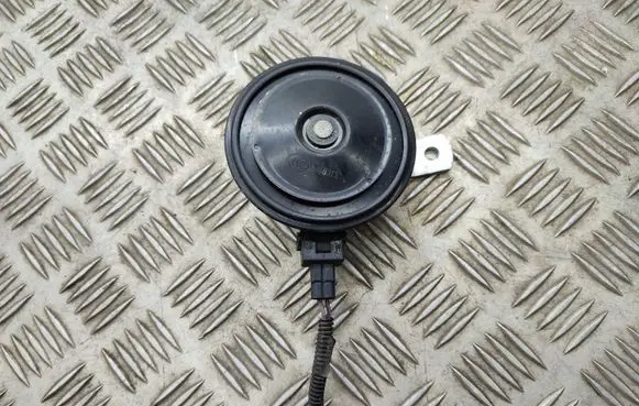 Ford Ecosport Horn signal