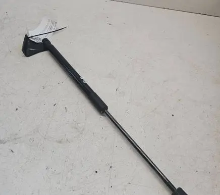 Tailgate/trunk strut/damper