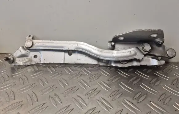 Tailgate/trunk/boot hinge