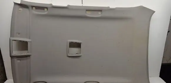 BMW X1 E84 Headlining 2991789