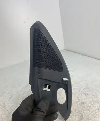 Front door high frequency speaker