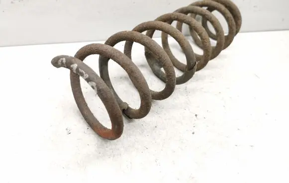 Rear coil spring