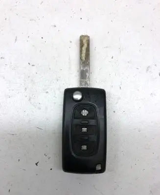 Peugeot 307 Ignition key/card 